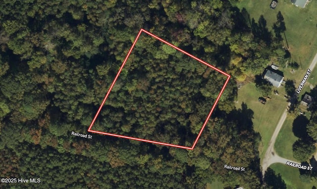 0 Railroad St, Jackson NC, 27845 land for sale