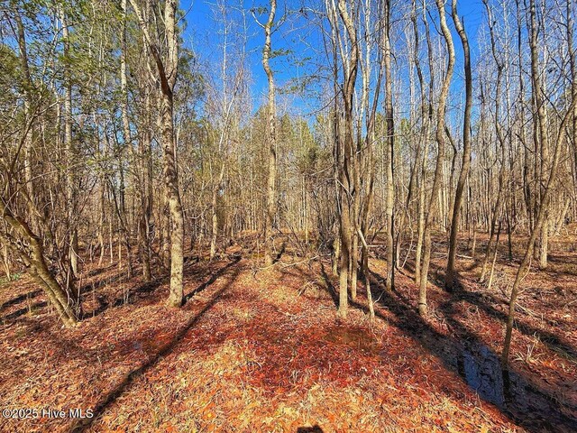 0 Railroad St, Jackson, NC 27845