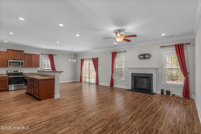 kitchen with dark wood-style floors, a fireplace with flush hearth, appliances with stainless steel finishes, and a sink