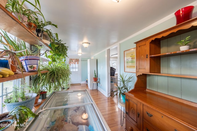 hallway featuring baseboards and light wood-style floors