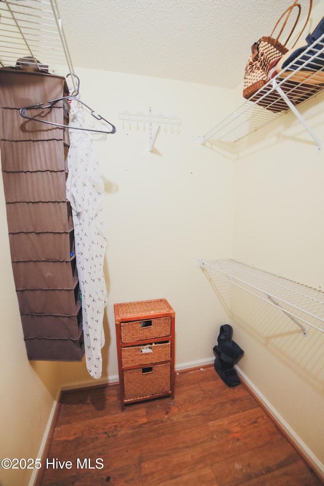 spacious closet featuring wood finished floors