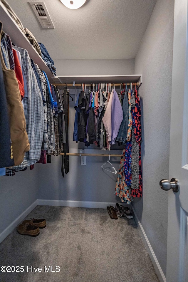 spacious closet with carpet flooring and visible vents