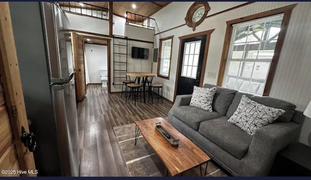 living area with a high ceiling and dark wood-type flooring