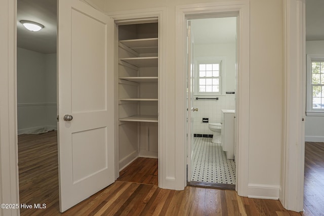 view of closet