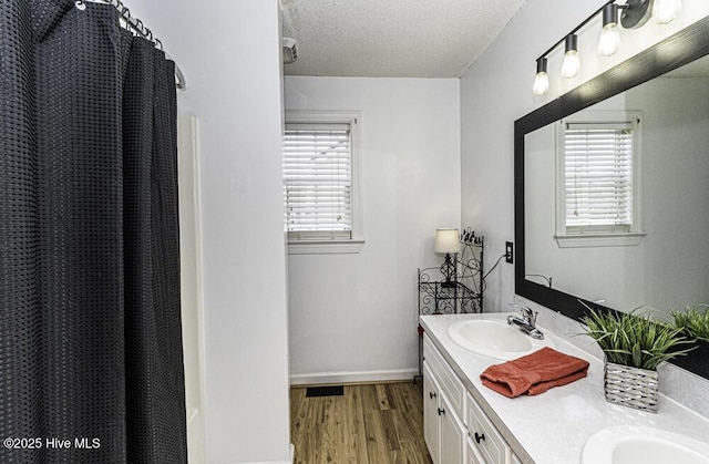 bathroom featuring a textured ceiling, wood finished floors, plenty of natural light, and a sink