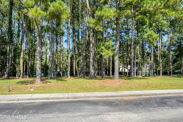 exterior space with a lawn