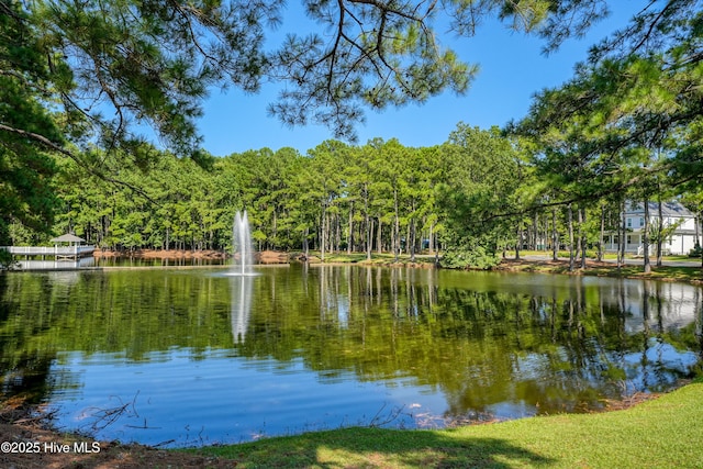 9118 E Lake Rd, Calabash, NC 28467 - water view with a heavily wooded area