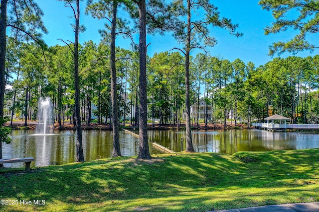 9118 E Lake Rd, Calabash, NC 28467 - water view