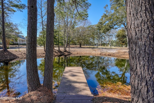 view of dock with a water view