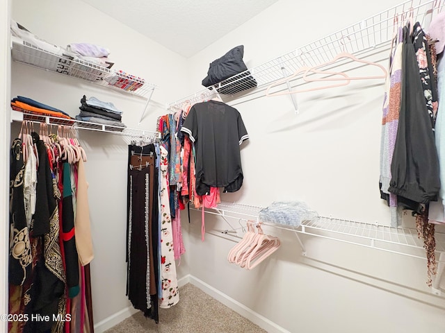 walk in closet with carpet floors