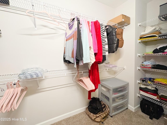 spacious closet featuring carpet flooring and visible vents