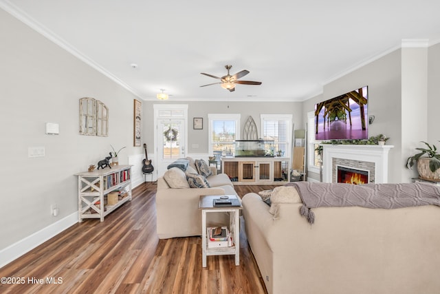 1014 Mccarley Blvd, Wilmington, NC 28412 - living area featuring crown molding, ceiling fan, wood finished floors, a warm lit fireplace, and baseboards