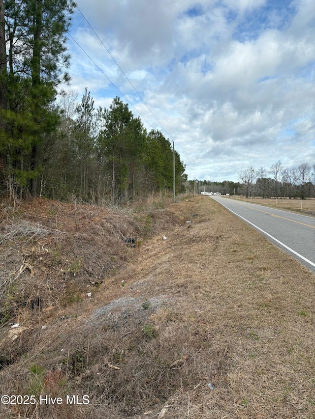 TBD476 Dothan Rd, Tabor City NC, 28463 land for sale