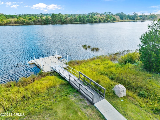 dock area with a water view