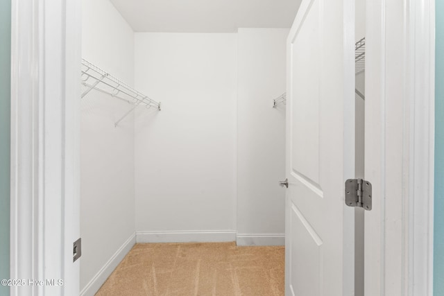 spacious closet featuring light colored carpet