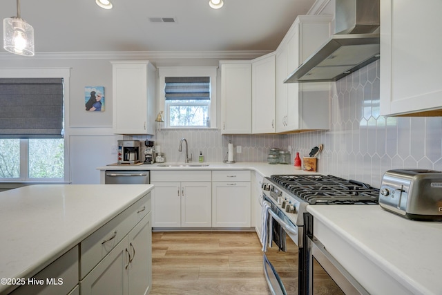 kitchen with white cabinets, wall chimney range hood, stainless steel appliances, and a sink