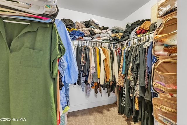 spacious closet with carpet floors