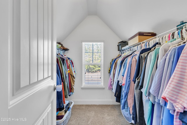 walk in closet featuring vaulted ceiling and carpet flooring