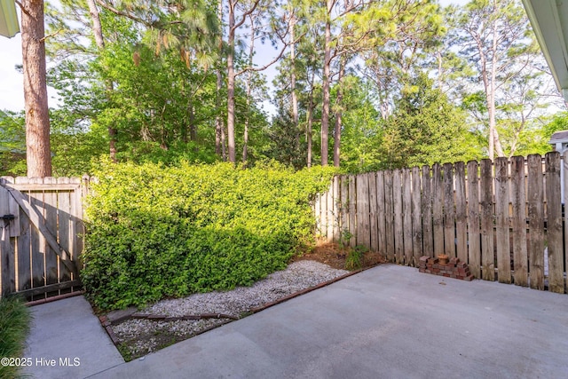 view of yard featuring a fenced backyard and a patio