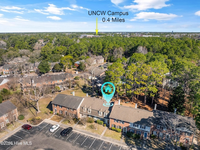 drone / aerial view