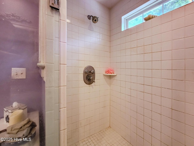 full bathroom with a shower stall