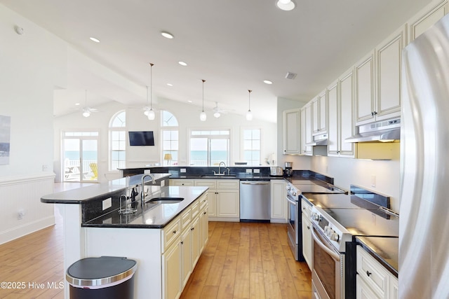 kitchen with under cabinet range hood, appliances with stainless steel finishes, a wealth of natural light, and a sink