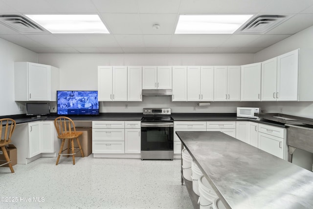 kitchen featuring under cabinet range hood, stainless steel electric range, visible vents, and white microwave