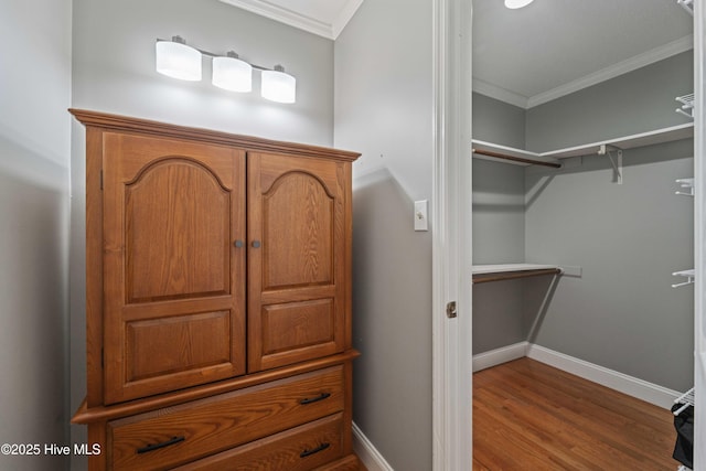 spacious closet featuring wood finished floors