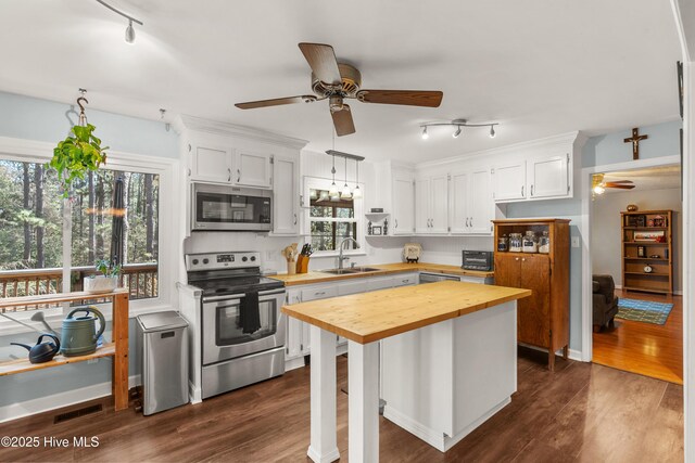 kitchen featuring a wealth of natural light, wood counters, appliances with stainless steel finishes, and a sink