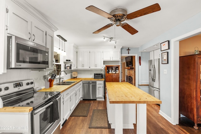 kitchen with dark wood-style floors, appliances with stainless steel finishes, white cabinetry, a sink, and wood counters