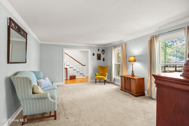 living area featuring stairs, ornamental molding, carpet, and a wealth of natural light