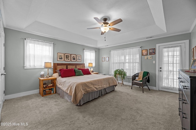 bedroom featuring a tray ceiling, multiple windows, and carpet