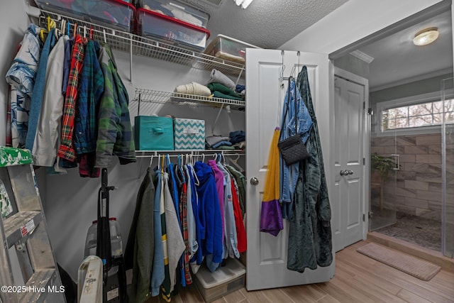 walk in closet featuring wood finished floors