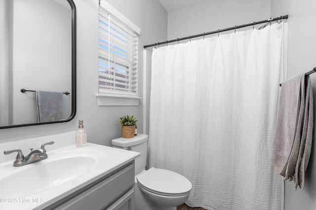 bathroom with toilet and vanity