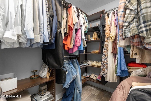 spacious closet featuring wood finished floors