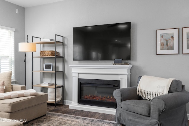 living area with a glass covered fireplace and wood finished floors