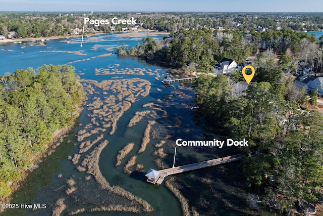 birds eye view of property featuring a water view and a wooded view