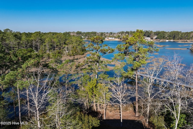 property view of water with a view of trees