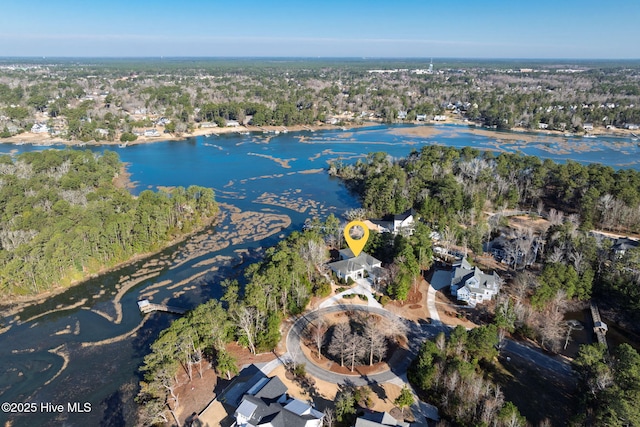 drone / aerial view featuring a water view and a view of trees