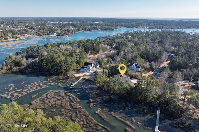 drone / aerial view with a water view and a view of trees