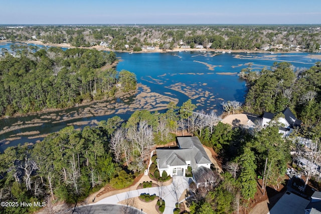 drone / aerial view with a water view and a view of trees