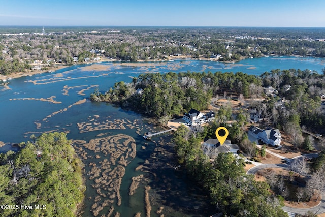 drone / aerial view with a water view and a view of trees