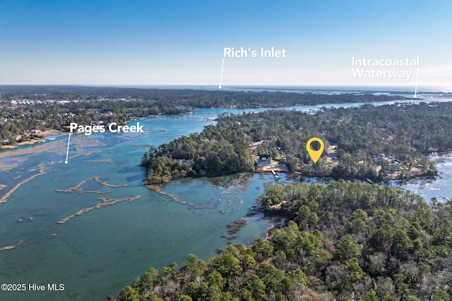 birds eye view of property featuring a water view and a view of trees