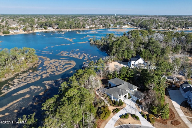 birds eye view of property featuring a water view and a forest view