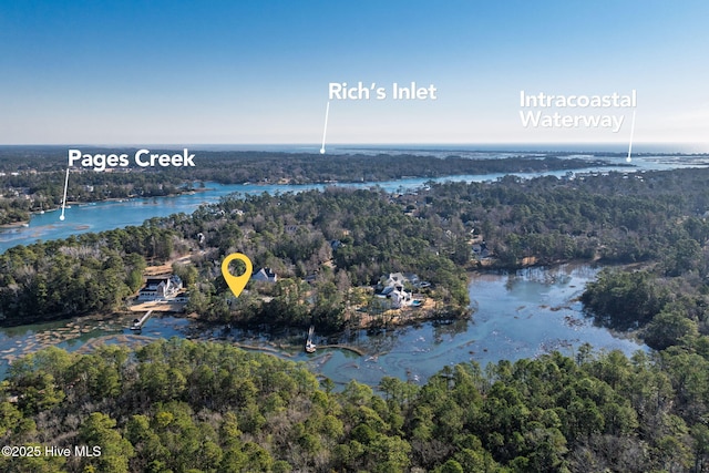 bird's eye view with a water view and a view of trees