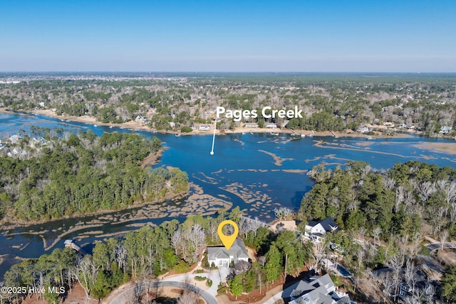 aerial view featuring a water view and a forest view