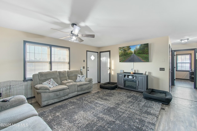 living area with a ceiling fan and wood finished floors