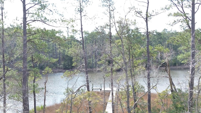252 Jonaquins Dr, Beaufort, NC 28516