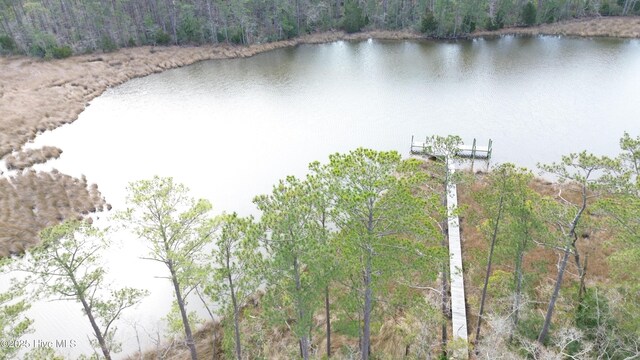 252 Jonaquins Dr, Beaufort, NC 28516