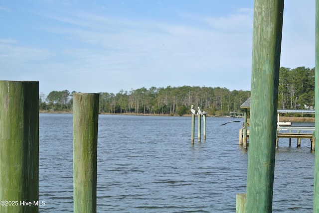 252 Jonaquins Dr, Beaufort, NC 28516